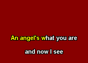 An angel's what you are

and now I see