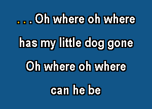 ...Oh where oh where

has my little dog gone

Oh where oh where

can he be
