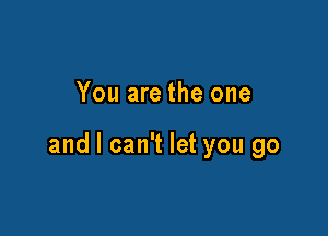 You are the one

and I can't let you go