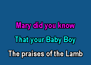 That your Baby Boy

The praises of the Lamb