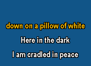 down on a pillow of white

Here in the dark

I am cradled in peace