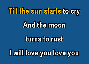 Till the sun starts to cry
And the moon

turns to rust

I will love you love you