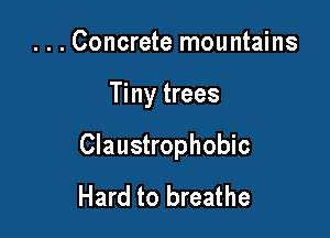 ...Concrete mountains

Tiny trees

Claustrophobic
Hard to breathe