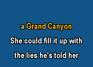 a Grand Canyon

She could fill it up with

the lies he's told her