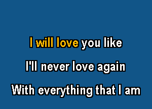 I will love you like

I'll never love again

With everything that I am