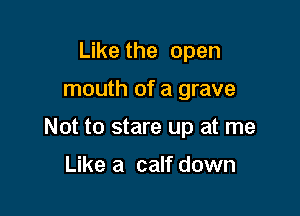 Like the open

mouth of a grave

Not to stare up at me

Like a calf down