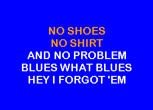 NO SHOES
NO SHIRT
AND NO PROBLEM
BLUES WHAT BLUES
HEYI FORGOT'EM