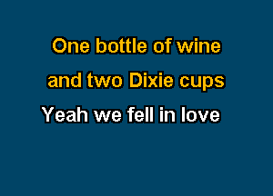 One bottle of wine

and two Dixie cups

Yeah we fell in love