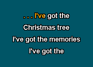 . . . I've got the

Christmas tree

I've got the memories

I've got the