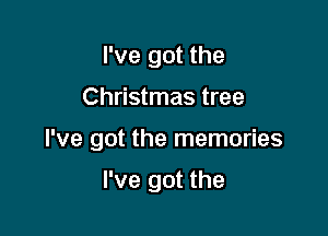 I've got the

Christmas tree

I've got the memories

I've got the