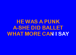 HEWAS A PUNK

A-SHE DID BALLET
WHAT MORE CAN I SAY