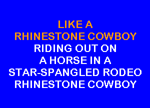 LIKEA
RHINESTONECOWBOY
RIDING OUT ON
A HORSE IN A
STAR-SPANGLED RODEO
RHINESTONECOWBOY