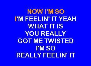 NOW I'M SO
I'M FEELIN' IT YEAH
WHAT IT IS
YOU REALLY
GOT METWISTED
I'M SO

REALLY FEELIN' IT I