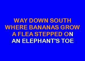 WAY DOWN SOUTH
WHERE BANANAS GROW
A FLEA STEPPED ON
AN ELEPHANT'S TOE