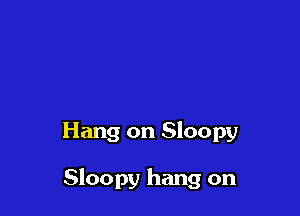 Hang on Sloopy

Sloopy hang on