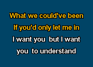 What we could've been
If you'd only let me in

I want you but I want

you to understand