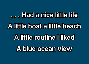 . . . Had a nice little life
A little boat a little beach

A little routine I liked

A blue ocean view