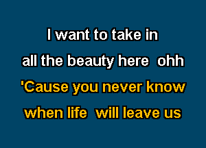 I want to take in

all the beauty here ohh

'Cause you never know

when life will leave us