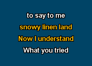 to say to me

snowy linen land

Now I understand
What you tried