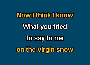 Now I think I know
What you tried

to say to me

on the virgin snow