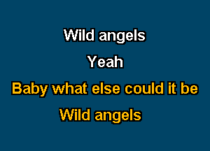 Wild angels
Yeah

Baby what else could it be

Wild angels