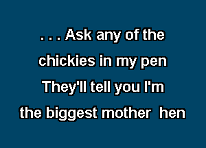 . . . Ask any of the

chickies in my pen

They'll tell you I'm

the biggest mother hen
