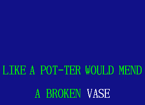 LIKE A POT-TER WOULD MEND
A BROKEN VASE