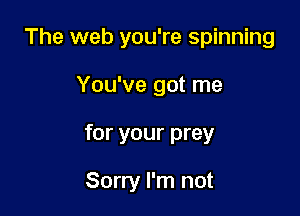 The web you're spinning

You've got me
for your prey

Sorry I'm not