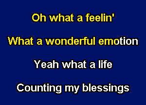 Oh what a feelin'
What a wonderful emotion

Yeah what a life

Counting my blessings