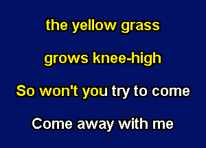the yellow grass

grows knee-high

So won't you try to come

Come away with me