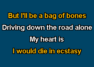 But I'll be a bag of bones
Driving down the road alone
My heart is

I would die in ecstasy