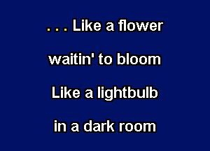 . . . Like a flower

waitin' to bloom

Like a lightbulb

in a dark room