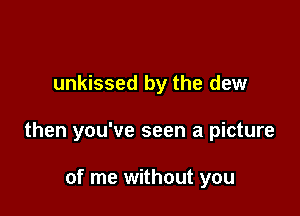 unkissed by the dew

then you've seen a picture

of me without you