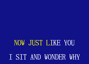 NOW JUST LIKE YOU
I SIT AND WONDER WHY