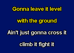 Gonna leave it level
with the ground

Ain't just gonna cross it

climb it fight it