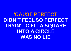 'CAUSE PERFECT
DIDN'T FEEL SO PERFECT
TRYIN' TO FIT A SQUARE

INTO ACIRCLE
WAS N0 LIE
