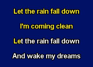 Let the rain fall down
I'm coming clean

Let the rain fall down

And wake my dreams