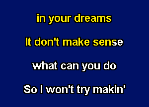 in your dreams
It don't make sense

what can you do

So I won't try makin'