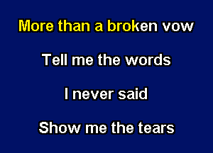 More than a broken vow
Tell me the words

I never said

Show me the tears