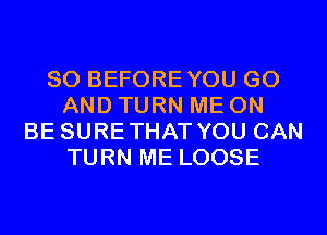 SO BEFOREYOU GO
AND TURN ME ON
BE SURETHAT YOU CAN
TURN ME LOOSE