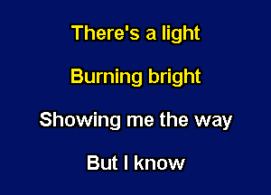 There's a light
Burning bright

Showing me the way

But I know