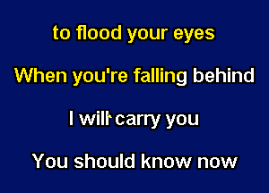 to flood your eyes

When you're falling behind

I wilr carry you

You should know now