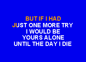 BUT IF I HAD
JUST ONE MORE TRY

I WOULD BE
YOURS ALONE

UNTIL THE DAY I DIE