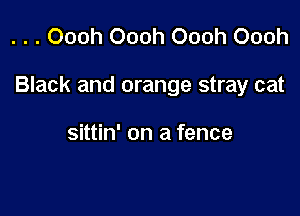 . . . Oooh Oooh Oooh Oooh

Black and orange stray cat

sittin' on a fence