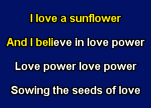 I love a sunflower

And I believe in love power

Love power love power

Sowing the seeds of love
