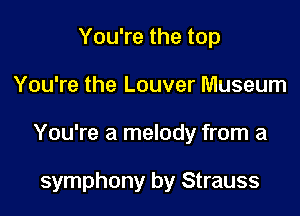 You're the top

You're the Louver Museum

You're a melody from a

symphony by Strauss