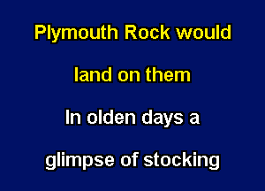 Plymouth Rock would
land on them

In olden days a

glimpse of stocking