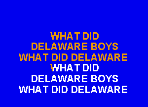 WHAT DID
DELAWARE BOYS

WHAT DID DELAWARE
WHAT DID

DELAWARE BOYS
WHAT DID DELAWARE