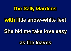 the Sally Gardens

with little snow-white feet

She bid me take love easy

astheleaves