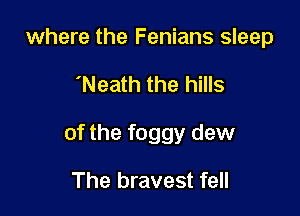 where the Fenians sleep

'Neath the hills

of the foggy dew

The bravest fell